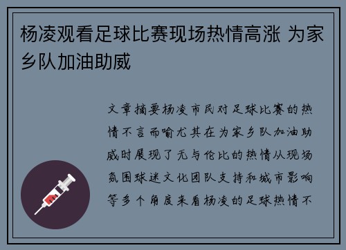杨凌观看足球比赛现场热情高涨 为家乡队加油助威