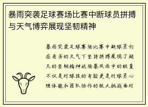 暴雨突袭足球赛场比赛中断球员拼搏与天气博弈展现坚韧精神