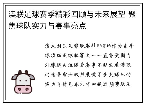 澳联足球赛季精彩回顾与未来展望 聚焦球队实力与赛事亮点