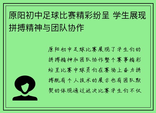 原阳初中足球比赛精彩纷呈 学生展现拼搏精神与团队协作