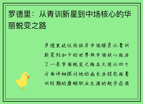 罗德里：从青训新星到中场核心的华丽蜕变之路