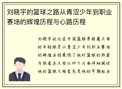 刘晓宇的篮球之路从青涩少年到职业赛场的辉煌历程与心路历程