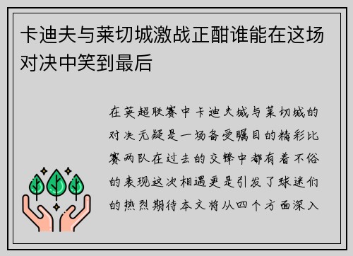 卡迪夫与莱切城激战正酣谁能在这场对决中笑到最后