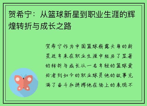 贺希宁：从篮球新星到职业生涯的辉煌转折与成长之路