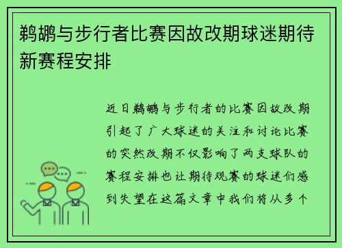 鹈鹕与步行者比赛因故改期球迷期待新赛程安排