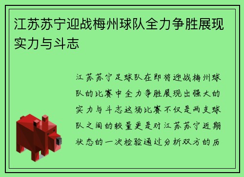 江苏苏宁迎战梅州球队全力争胜展现实力与斗志