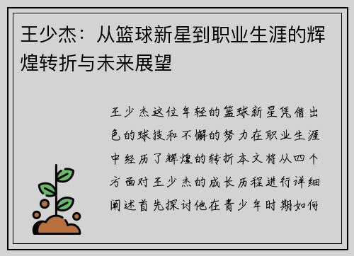 王少杰：从篮球新星到职业生涯的辉煌转折与未来展望
