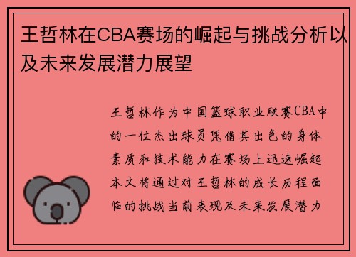 王哲林在CBA赛场的崛起与挑战分析以及未来发展潜力展望
