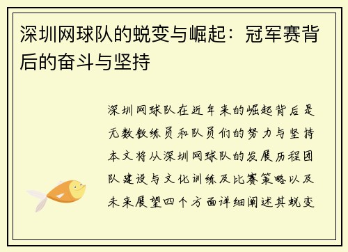 深圳网球队的蜕变与崛起：冠军赛背后的奋斗与坚持